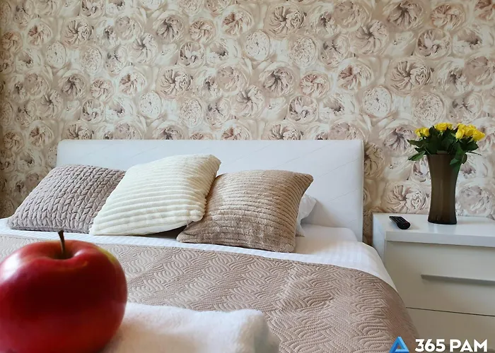 365pam - Rozany W Centrum Mielna 아파트 *